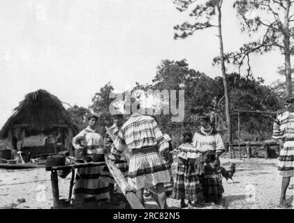 Everglades, Floride : c. 1928 Une scène dans un camp amérindien séminole dans les Everglades. L'homme tannage des peaux d'animaux. Banque D'Images