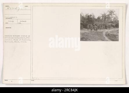 Légende : soldats de la 37e division érigeant une station sans fil au quartier général de la division dans les bois de Pacieourt, Recicourt, Meuse, France pendant la première Guerre mondiale. Photographié par S. C. Predhonki le 25 septembre 1918. Banque D'Images