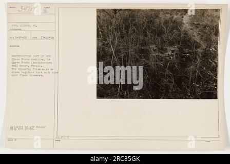 L'image capture le soldat américain Pvt. Girbon dans la zone sud-est de la position de Cheve tendu, Meuse, France pendant la première Guerre mondiale. Les lignes opposées étaient si proches que des lance-flammes étaient utilisés par les deux côtés. Photo prise le 22 novembre 1918. Banque D'Images