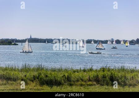 Voiliers et sloops sur le lac le Kaag par une journée ensoleillée aux pays-Bas. Banque D'Images