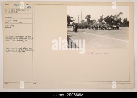 RAW recrute à l'Université de Californie du Sud, Los Angeles, Californie, juste après l'organisation du bataillon pour l'année 1917-18. Cette photographie a été prise par un photographe de guerre officiel et reçue de l'Université de Southern Cal. Le 8 juillet 1918. Légende informations de référence : photographe sujet 55072, Numéro de description pris publié au Military Activities at the University of Southern California, Los Angeles, Cal, Notes 1431 pour usage officiel seulement. Banque D'Images