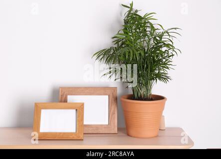 Étagère en bois avec belle plante d'intérieur verte et cadres photo sur mur blanc Banque D'Images