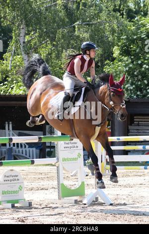 concours de sauts de cavaliers en allemagne Banque D'Images