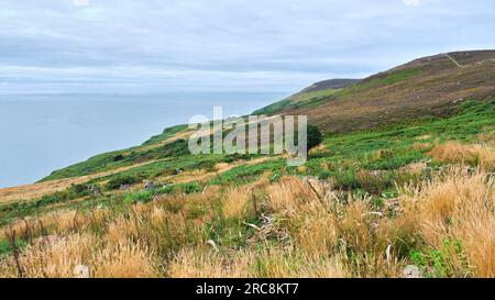 Ruines du village de Badbea Highland Clearances Banque D'Images