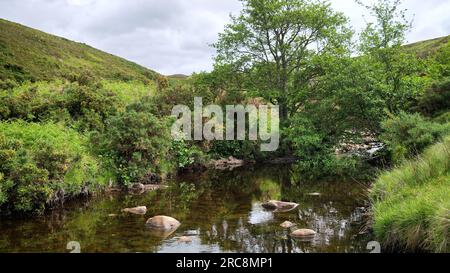 Kildonan Burn dans le Strath de Kildonan Banque D'Images