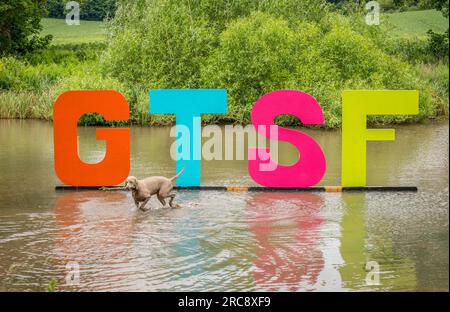 GTSF, porte du festival de musique Southwell Festival en grandes lettres placé dans un lac et avec chien Weimaraner animal de compagnie. Banque D'Images