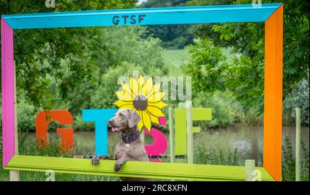 GTSF, porte du festival de musique Southwell Festival en grandes lettres placé dans un lac et avec chien Weimaraner animal de compagnie. Banque D'Images