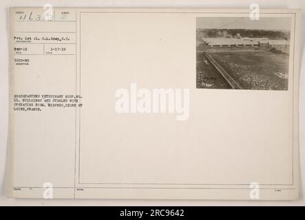 Siège vétérinaire Hosp. N° 11 à Gievres, Indre et Loire, France, montrant des bâtiments et des écuries avec une salle d'opération. La photographie a été prise par Pvt. 1st cl. C.L. Eddy du signal corps en 1919, et l'image a été reçue le 3655-19. Banque D'Images