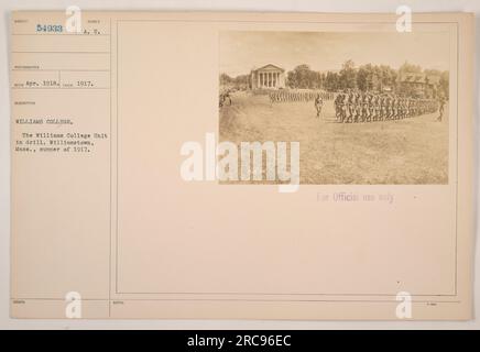 Soldats de l'unité du Williams College participant à des exercices d'exercice à Williamstown, Massachusetts, au cours de l'été 1917. Cette photographie a été prise par Subiect Photographer 54933 et émise par A.U. Williams College en avril 1918. Veuillez noter que cette image est destinée à un usage officiel seulement. Banque D'Images