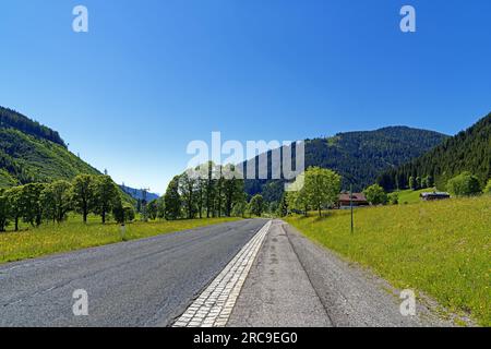Landschaft, WildBlumenwiese Banque D'Images