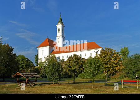 Burg Vác, Váci Vár, Kloster, Kirche, Váci Szent Kereszt ferences templom, Skulptur, König Géza I. von Ungarn, I. Géza Kiraly Szobra Banque D'Images