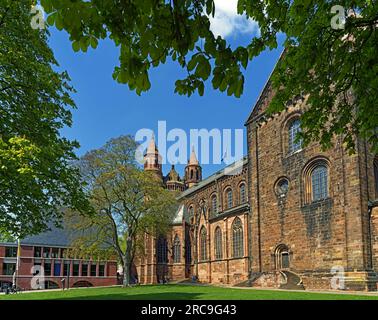 Schum-Stadt, Dom Sankt Peter, erbaut 12. Jahrhundert, Südseite, Haus am Dom Banque D'Images