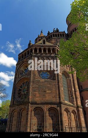 Schum-Stadt, Dom Sankt Peter, erbaut 12. Jahrhundert Banque D'Images