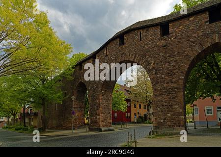 Schum-Stadt, Raschitor, Stadtmauer Banque D'Images