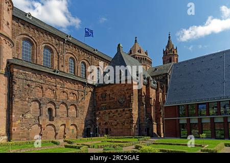 Schum-Stadt, Dom Sankt Peter, erbaut 12. Jahrhundert, Domgarten, Haus am Dom Banque D'Images