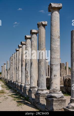 Agora von Perge, Ruinen der roemischen Stadt Perge, Antalya, Türkei |Agora de Perge, ruines de la ville romaine de Perge, Antalya, Turquie| Banque D'Images