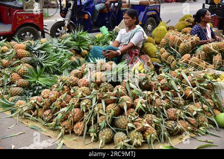 Guwahati. 13 juillet 2023. Un vendeur vend des ananas sur un marché de gros de fruits dans la ville de Guwahati, dans l'État d'Assam, dans le nord-est de l'Inde, le 13 juillet 2023. Crédit : Str/Xinhua/Alamy Live News Banque D'Images