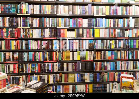 Poznan, Pologne - 19 avril 2023 : vitrine avec des livres dans une librairie. Banque D'Images