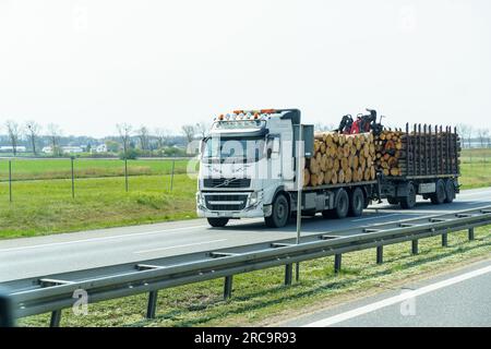 Dresde, Allemagne - 24 avril 2023 : camion de bois transporte des arbres coupés de la forêt le long de la route. industrie forestière. Banque D'Images