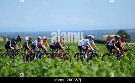 Belleville en Beaujolais, France. 13 juillet 2023. Le peloton de coureurs photographié en action lors de la 12e étape du Tour de France, de Roanne à Belleville-en-Beaujolais (168, 8 km), France, jeudi 13 juillet 2023. Le Tour de France de cette année aura lieu du 01 au 23 juillet 2023. BELGA PHOTO ALEX BROADWAY crédit : Belga News Agency/Alamy Live News Banque D'Images