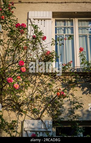 La campagne à Paris, la campagne à Paris, un charmant quartier résidentiel développé à partir de 1907, 20e arrondissement, Paris, France Banque D'Images