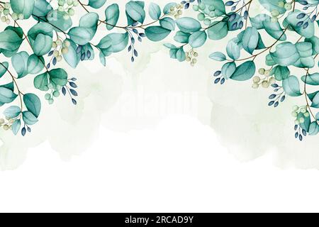 Bordure horizontale des branches d'eucalyptus. Bannière botanique aquarelle pour la conception d'invitations, cartes, félicitations, annonces, ventes, statio Banque D'Images