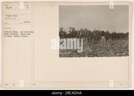 Soldats participant à des exercices physiques pendant la première Guerre mondiale Cette photographie montre le 2e bataillon du 329e régiment d'infanterie effectuant un entraînement physique au Mans, Sarthe, France. La photo a été prise le 5 octobre 1918, et fait partie de la collection signal corps, avec le numéro d'identification 111-SC-26006. Banque D'Images