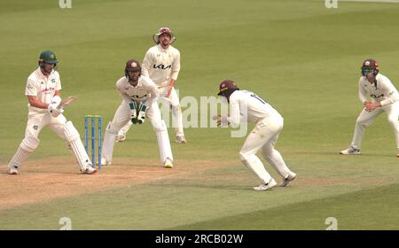 Londres, Royaume-Uni. 13 juillet 2023. Alors que Surrey affronte le Nottinghamshire dans le championnat du comté au Kia Oval, quatrième jour. Crédit : David Rowe/Alamy Live News Banque D'Images