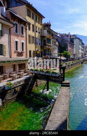 Maisons au bord de la rivière le Thiou, vieille ville, Annecy, région Auvergne-Rhône-Alpes, France Banque D'Images