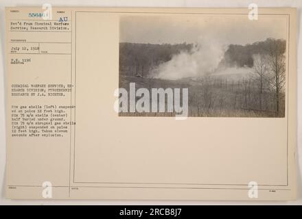 Image montrant le Chemical Warfare Service, Division de la recherche effectuant des recherches pyrotechniques par J.A. Richter. Représente six obus à gaz sur la gauche suspendus à des poteaux de 12 pieds, six obus de 75 mm à moitié enterrés dans le sol au centre, et six obus à gaz shrapnel de 75 mm sur la droite suspendus à des poteaux de 12 pieds. Capturé 11 secondes après une explosion. Banque D'Images