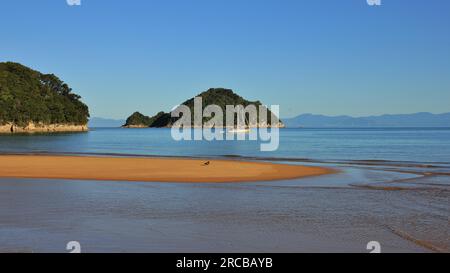 Scène dans le parc national Abel Tasman, Nouvelle-Zélande. Baie d'Onetahuti et île de Tonga. Plage de sable Banque D'Images