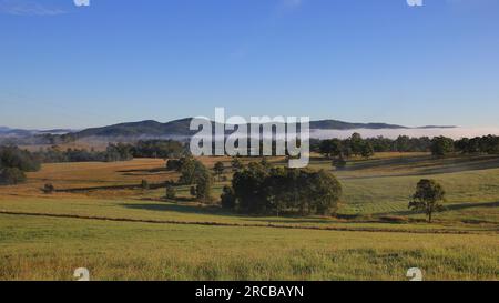 Brouillard matinal au-dessus des terres agricoles près de Wauchope, Australie Banque D'Images