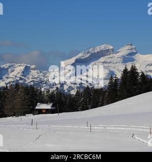 Montagnes enneigées dans le canton de Vaud, Suisse Banque D'Images