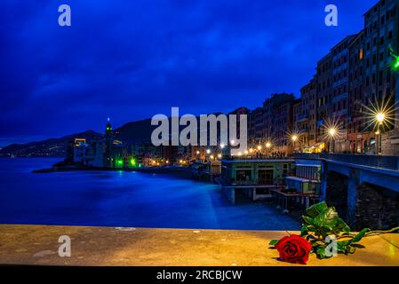 Rose rouge sur le bord de mer de Camogli Banque D'Images