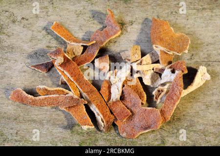 Zeste de mandarine (citri reticulatae Pericarpium) Banque D'Images