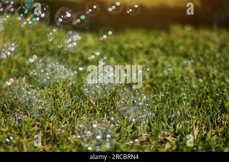 Des bulles de savon colorées et lumineuses sur fond d'herbe vert naturel en plein soleil. Saison des vacances de printemps ou d'été. Symbole de bonne enfance, pureté, Banque D'Images