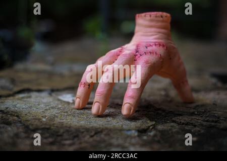 Main humaine réaliste effrayante avec des cicatrices et des stiches. Couper la main avec les doigts actifs. Jouet en matière plastique. Banque D'Images
