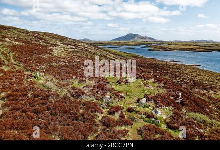 Pobull Fhinn cercle de pierre préhistorique sur le versant S de Ben Langass, Nord Uist. Vue du cercle complet au moins 24 pierres existantes. Se vers la montagne Eaval Banque D'Images