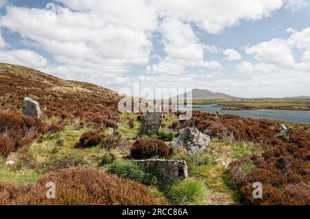 Pobull Fhinn cercle de pierre préhistorique sur le versant sud de Ben Langass, Nord Uist. Au moins 24 pierres existantes. Vue se vers la montagne Eaval Banque D'Images