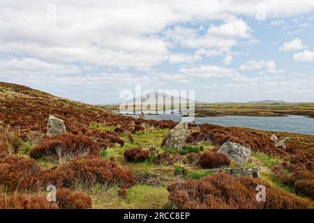 Pobull Fhinn cercle de pierre préhistorique sur le versant sud de Ben Langass, Nord Uist. Au moins 24 pierres existantes. Vue se vers la montagne Eaval Banque D'Images