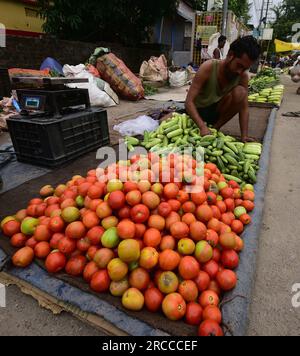 Guwahati. 13 juillet 2023. Un vendeur vend des tomates et d'autres légumes sur un marché de la ville de Guwahati, dans l'État d'Assam, dans le nord-est de l'Inde, le 13 juillet 2023. L'inflation du commerce de détail en Inde a augmenté à 4,81 pour cent en juin, selon les dernières données du gouvernement mercredi. Crédit : Str/Xinhua/Alamy Live News Banque D'Images
