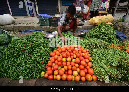 Guwahati. 13 juillet 2023. Un vendeur vend des tomates et d'autres légumes sur un marché de la ville de Guwahati, dans l'État d'Assam, dans le nord-est de l'Inde, le 13 juillet 2023. L'inflation du commerce de détail en Inde a augmenté à 4,81 pour cent en juin, selon les dernières données du gouvernement mercredi. Crédit : Str/Xinhua/Alamy Live News Banque D'Images