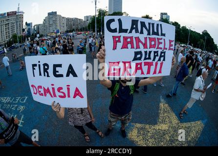 Bucarest, Roumanie. 13 juillet 2023 : les manifestants brandissent des pancartes sur lesquelles on peut lire "démission de Firea" et "clan Pandele derrière les barreaux", en référence à la ministre de la famille Gabriela Firea, Et son mari Florentin Pandele, maire de la ville de Voluntari, lors d'une manifestation avec le slogan "ils savaient tous" dirigée contre les partis de la coalition au pouvoir, devant le Palais Victoria, siège du gouvernement roumain. Mardi dernier, les procureurs de la Direction des enquêtes sur le crime organisé et le terrorisme (DIICOT) ont fouillé plusieurs établissements de soins pour personnes âgées à Voluntari, près de Bucarest, dans le cadre d’un inv Banque D'Images