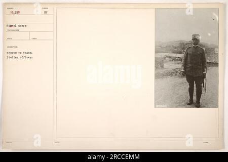 Officier italien pendant la première Guerre mondiale. Cette photographie a été prise en Italie dans le cadre de la documentation du signal corps sur les activités militaires américaines. L'officier peut être vu dans son uniforme, dépeignant la participation de l'Italie à la guerre. L'image est numérotée 15 338 et comprend des détails techniques supplémentaires, tels que le symbole du photographe et les notes de réception. Banque D'Images