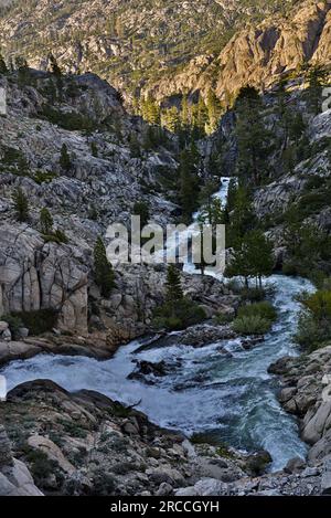Criques avec de l'eau précipitée dans Emigrant Wilderness Banque D'Images