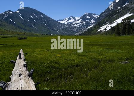 Un tronc d'arbre sur la prairie pointe vers les montagnes couvertes de neige. Banque D'Images