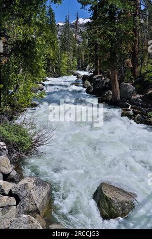 Criques avec de l'eau précipitée dans Emigrant Wilderness Banque D'Images
