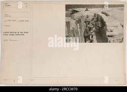 Soldats américains du 305th Field signal Battalion travaillant avec une section de pigeons en juin 1918. Les pigeons ont été utilisés comme messagers pendant la première Guerre mondiale Cette photographie montre des soldats de la 80e unité Duran H. Banque D'Images