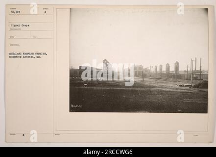 Soldats menant une formation à la guerre chimique à l'arsenal d'Edgewood, Maryland. Les hommes sur la photo sont équipés de masques à gaz et de vêtements de protection. Lieu : Chemical Warfare Service, Edgewood Arsenal, Maryland. 60 407 photo du signal corps prise pendant la première Guerre mondiale. Banque D'Images