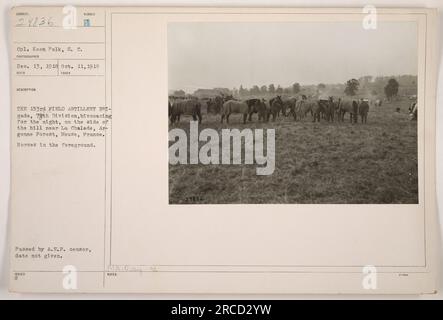 Des membres de la 153e brigade d'artillerie de campagne, 7e division, sont vus bivouaquer pour la nuit près de la Chalade, forêt d'AR gonne, Meuse, France pendant la première Guerre mondiale. La photo, prise le 11 octobre 1918, montre des chevaux au premier plan. Il a été approuvé par le censeur de l'A.E.F. ID de l'image : 111-SC-29836. Banque D'Images